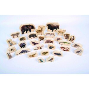 TickiT Drevené zvieratká - Les  / Wooden forest animal blocks