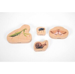 Dřevěné figurky - Hmyz