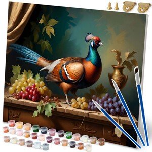 Obrázok na maľovanie podľa čísel 40x50 cm Massido - bažant