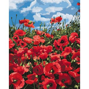 RAMIZ Maľovanie podľa čísel 40x50 plátno + farby + štetce - Úžasné maky