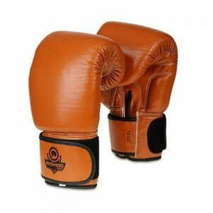 BUSHIDO SPORT Boxerské rukavice BUSHIDO DBD-B-1 Veľkosť: 12 oz