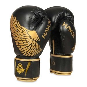 Boxerské rukavice DBX BUSHIDO B-2v17 Veľkosť: 8oz.