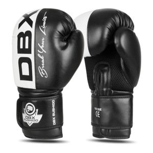 Boxerské rukavice DBX BUSHIDO B-2v20 Veľkosť: 10oz