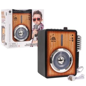 Zosilňovač s mikrofónom a s funkciou Bluetooth