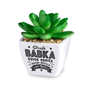Kaktus s venovaním - Skvelá babka History & Heraldry