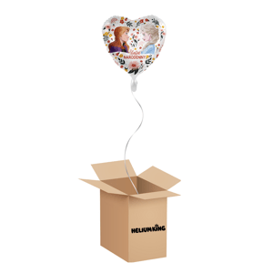 HeliumKing Balónový box - Šťastné narodeniny Elsa a Anna