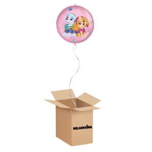 HeliumKing Balónový box - Paw Patrol Skye a Everest kruh 46 cm