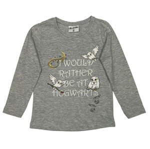 EPlus Dievčenské tričko s dlhým rukávom - Harry Potter Hedwiga sivé Veľkosť - deti: 110