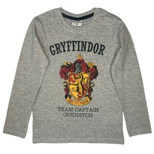 EPlus Chlapčenské tričko s dlhým rukávom - Harry Potter Chrabromil sivé Veľkosť - deti: 140