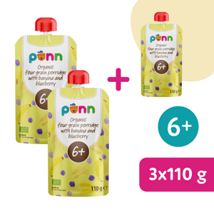2+1 ZADARMO: SALVEST Põnn BIO Banán s čučoriedkami a obilnými vločkami (110 g)