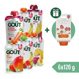 Good Gout BIO kapsičkový 6pack + Little Dutch Jahodová záhradka ZADARMO
