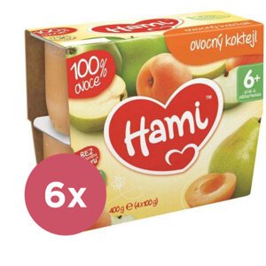 6x HAMI 100 % ovocia ovocný koktail 4x 100 g - ovocný príkrm