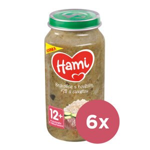 6x HAMI Príkrm mäsovo-zeleninový Brokolica s hovädzím, ryžou a cuketou 250g, 12+