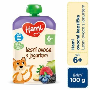 HAMI Kapsička ovocná Lesné ovocie s jogurtom 100 g, 6m+