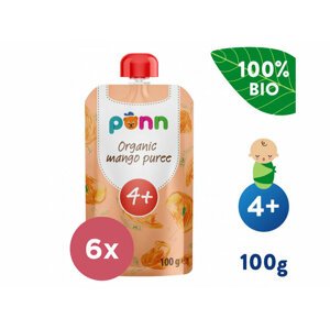 6x SALVEST Põnn BIO Mango 100 % (100 g)