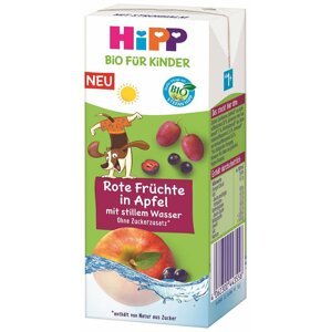 HiPP BIO Nápoj Jemné jablko a ovocie s neperlivou pramenitou vodou 200ml od 1 roka