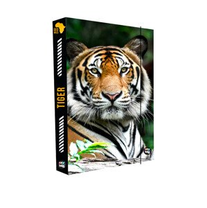 Oxybag Box na zošity A4 Jumbo Tiger
