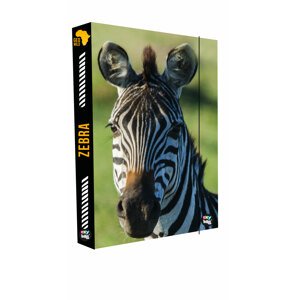 Oxybag Box na zošity A4 Jumbo Zebra