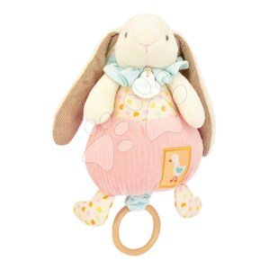 Plyšový zajačik s melódiou Lapin Ciboulette Music Box Doudou et Compagnie v darčekovom balení 20 cm od 0 mes