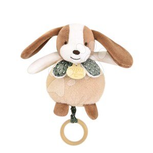 Plyšové zvieratko s melódiou Music Box Les Rikikis Doudou et Compagnie v darčekovom balení rôzne druhy 20 cm od 0 mes