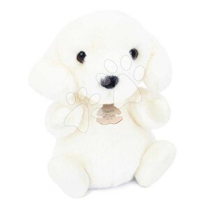 Plyšový psík The Little Companions Histoire d’ Ours biely 20 cm od 0 mes