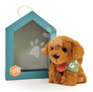 Plyšový psík Welcome Home SPA Collection Histoire d’ Ours v darčekovom balení hnedý 16 cm od 0 mes