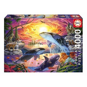 Puzzle Orcas and Wolves Living Educa 4000 dielov