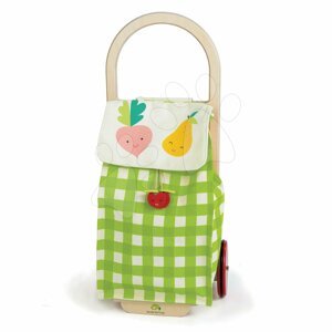 Nákupný vozík z textilu Shopping Trolley Green Tender Leaf Toys s drevenou konštrukciou