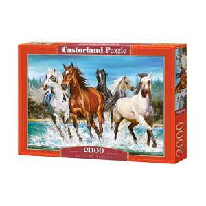 mamido Puzzle 2000 dielikov Call of nature