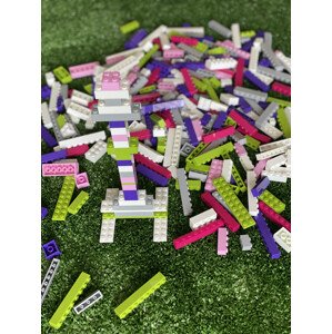 LW-toys  LW-toys Stavebnice pre deti - Dievčenské set 1000 ks